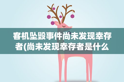客机坠毁事件尚未发现幸存者(尚未发现幸存者是什么意思)