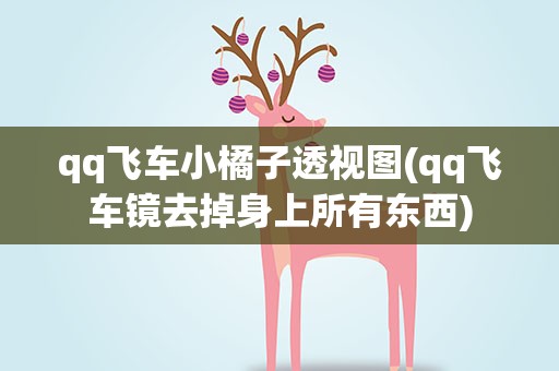 qq飞车小橘子透视图(qq飞车镜去掉身上所有东西)