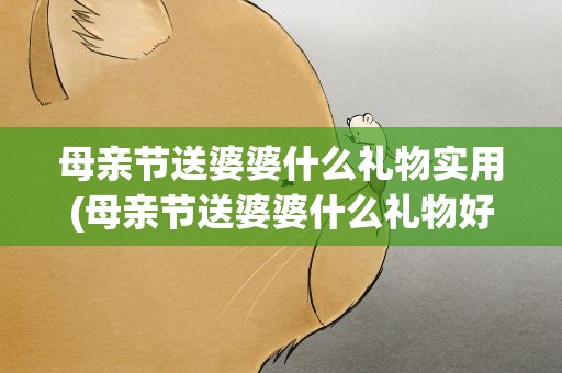 母亲节送婆婆什么礼物实用(母亲节送婆婆什么礼物好呢)