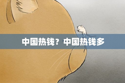 中国热钱？中国热钱多