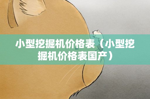 小型挖掘机价格表（小型挖掘机价格表国产）