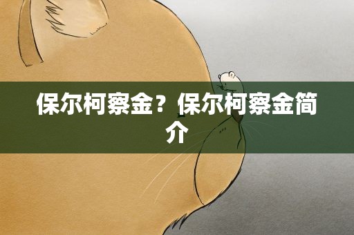保尔柯察金？保尔柯察金简介
