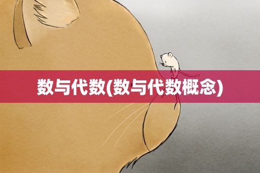 数与代数(数与代数概念)