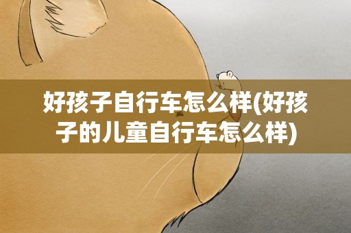 好孩子自行车怎么样(好孩子的儿童自行车怎么样)