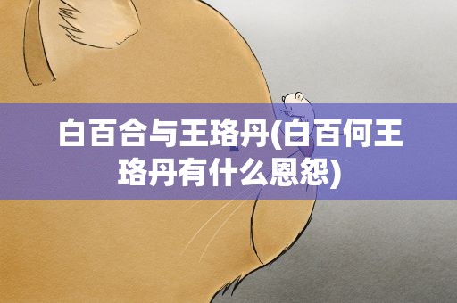 白百合与王珞丹(白百何王珞丹有什么恩怨)