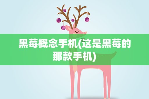黑莓概念手机(这是黑莓的那款手机)