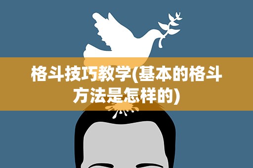 格斗技巧教学(基本的格斗方法是怎样的)