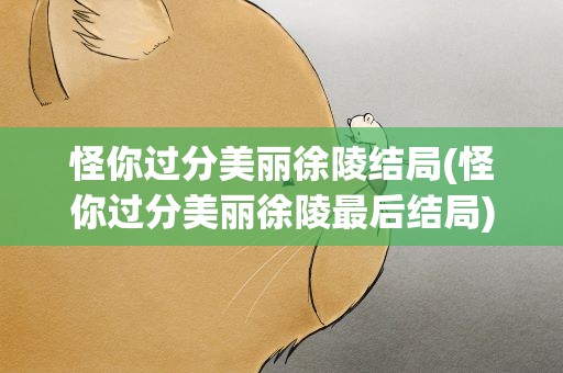 怪你过分美丽徐陵结局(怪你过分美丽徐陵最后结局)