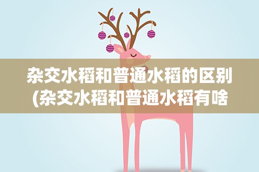 杂交水稻和普通水稻的区别(杂交水稻和普通水稻有啥区别)