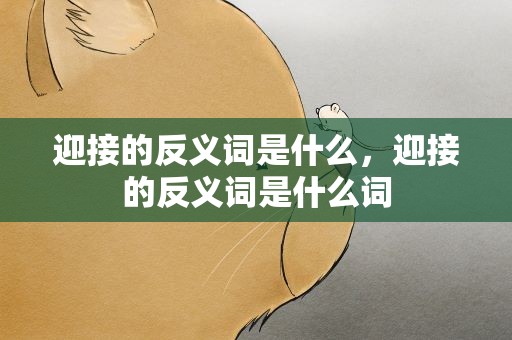 迎接的反义词是什么，迎接的反义词是什么词