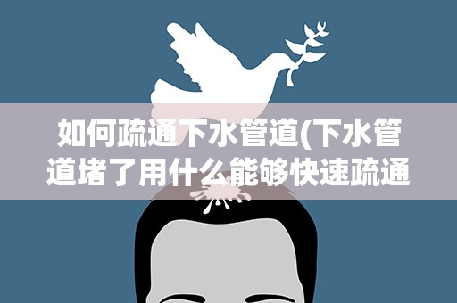 如何疏通下水管道(下水管道堵了用什么能够快速疏通)