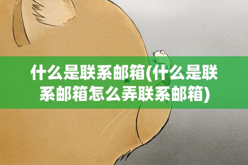 什么是联系邮箱(什么是联系邮箱怎么弄联系邮箱)