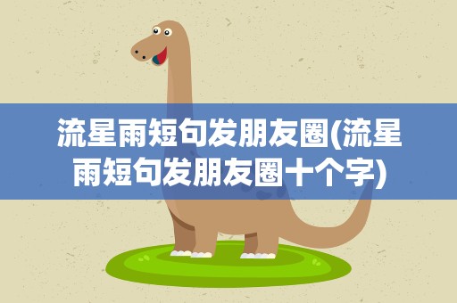流星雨短句发朋友圈(流星雨短句发朋友圈十个字)