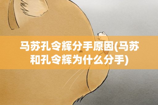 马苏孔令辉分手原因(马苏和孔令辉为什么分手)