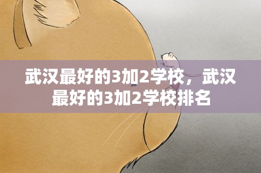 武汉最好的3加2学校，武汉最好的3加2学校排名
