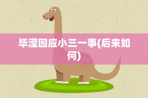 毕滢回应小三一事(后来如何)