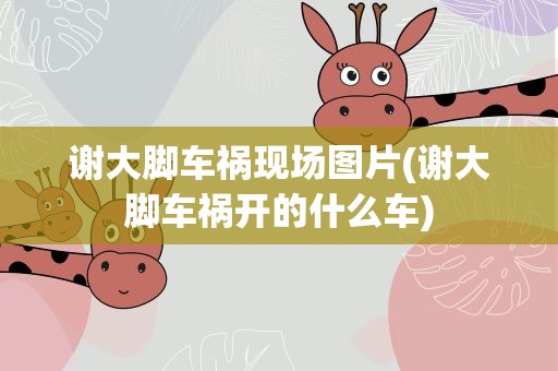 谢大脚车祸现场图片(谢大脚车祸开的什么车)