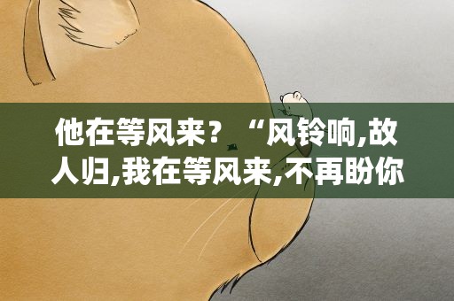 他在等风来？“风铃响,故人归,我在等风来,不再盼你归&amp;quot;什么意思