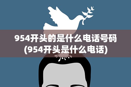 954开头的是什么电话号码(954开头是什么电话)