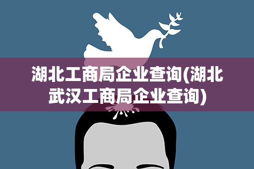 湖北工商局企业查询(湖北武汉工商局企业查询)