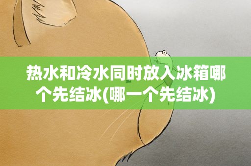 热水和冷水同时放入冰箱哪个先结冰(哪一个先结冰)