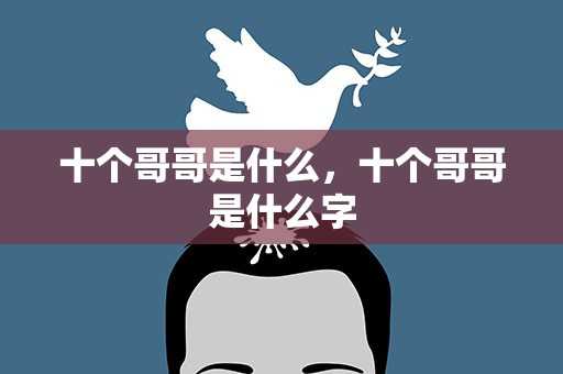 十个哥哥是什么，十个哥哥是什么字