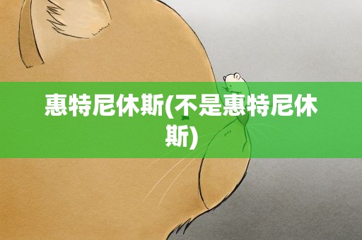 惠特尼休斯(不是惠特尼休斯)