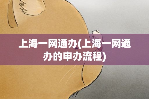 上海一网通办(上海一网通办的申办流程)