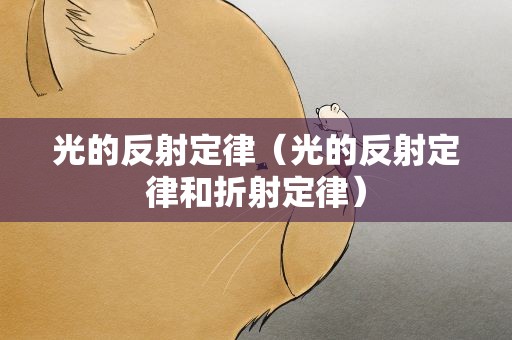光的反射定律（光的反射定律和折射定律）