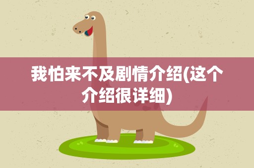 我怕来不及剧情介绍(这个介绍很详细)