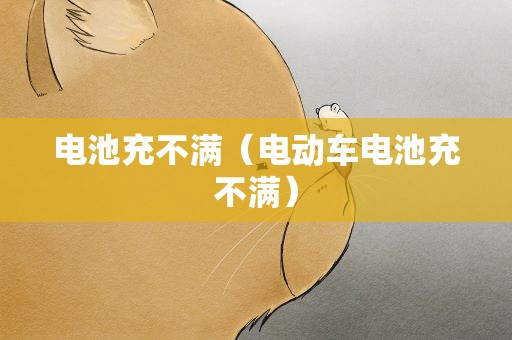 电池充不满（电动车电池充不满）