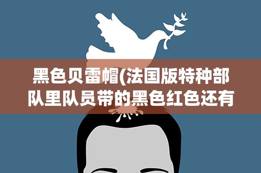 黑色贝雷帽(法国版特种部队里队员带的黑色红色还有绿色的贝雷帽的含义)