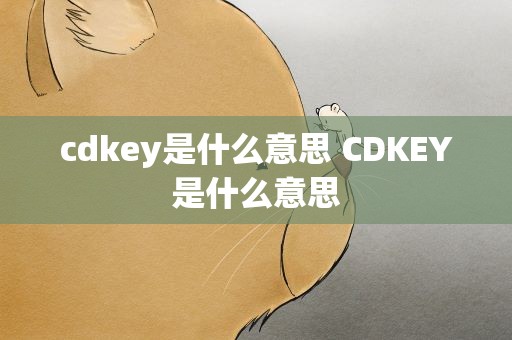 cdkey是什么意思 CDKEY是什么意思