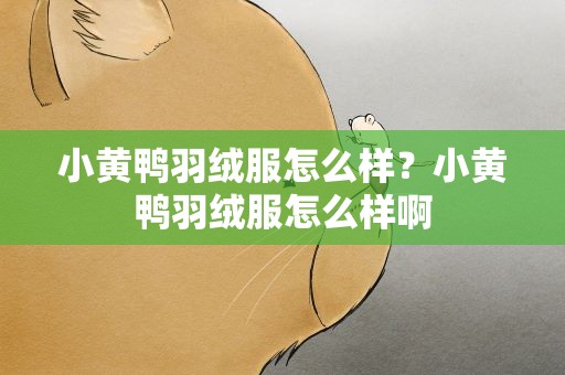 小黄鸭羽绒服怎么样？小黄鸭羽绒服怎么样啊