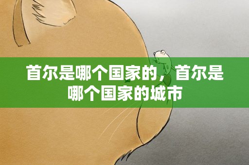 首尔是哪个国家的，首尔是哪个国家的城市