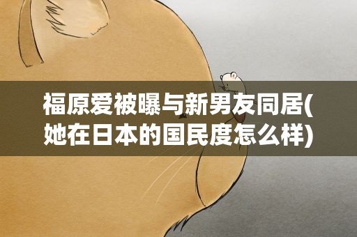 福原爱被曝与新男友同居(她在日本的国民度怎么样)