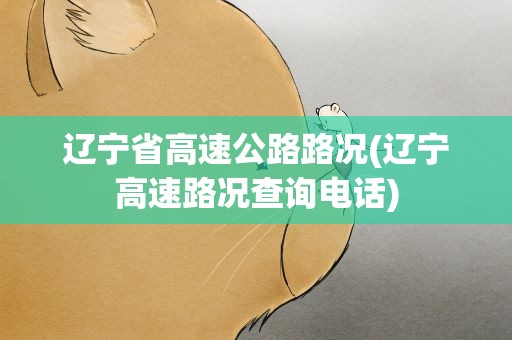 辽宁省高速公路路况(辽宁高速路况查询电话)