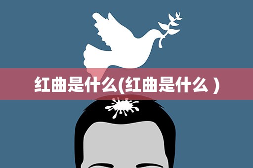 红曲是什么(红曲是什么 )