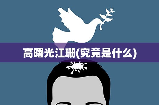 高曙光江珊(究竟是什么)
