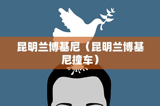 昆明兰博基尼（昆明兰博基尼撞车）