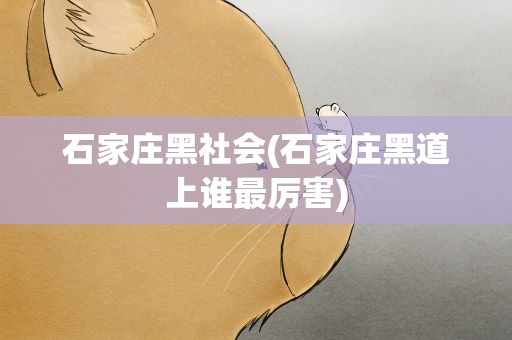 石家庄黑社会(石家庄黑道上谁最厉害)