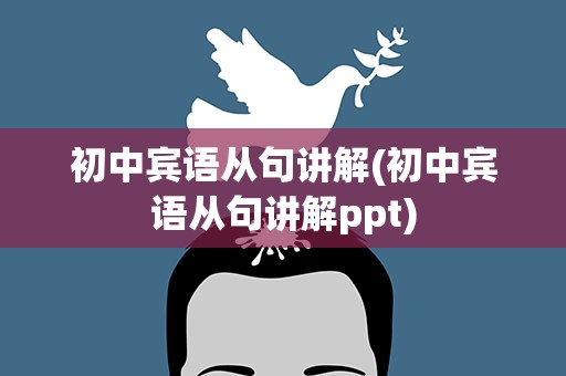 初中宾语从句讲解(初中宾语从句讲解ppt)