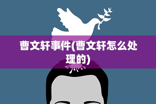 曹文轩事件(曹文轩怎么处理的)