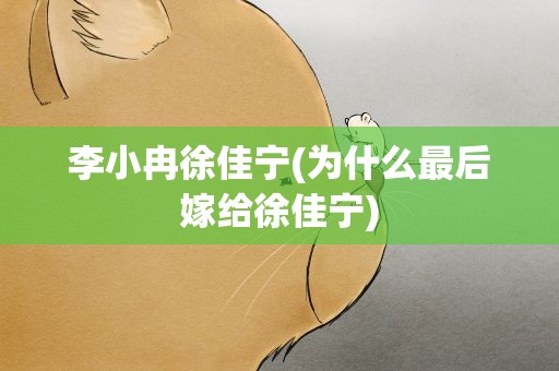 李小冉徐佳宁(为什么最后嫁给徐佳宁)