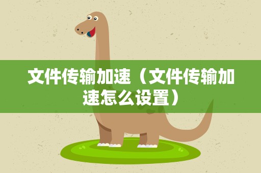 文件传输加速（文件传输加速怎么设置）