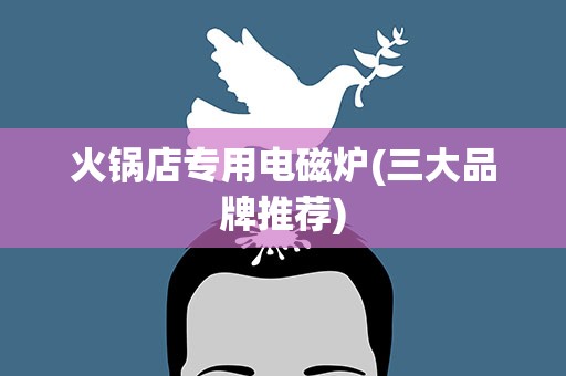 火锅店专用电磁炉(三大品牌推荐)