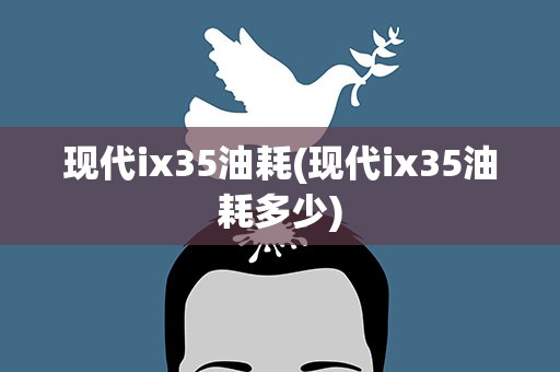 现代ix35油耗(现代ix35油耗多少)