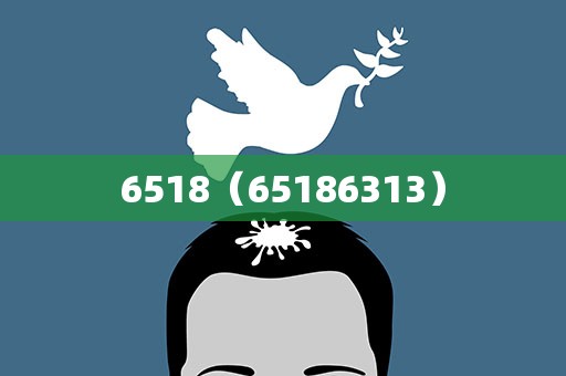 6518（65186313）