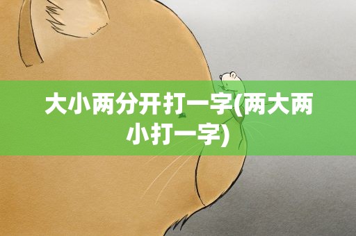 大小两分开打一字(两大两小打一字)