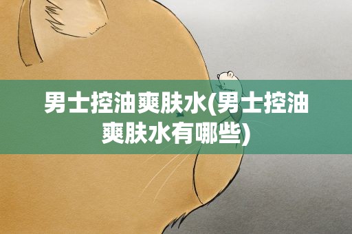 男士控油爽肤水(男士控油爽肤水有哪些)
